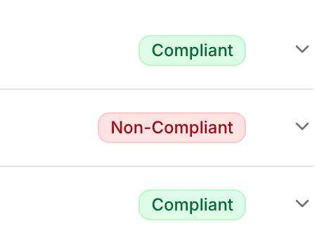 Detailed compliance report showing pass/fail status and specific recommendations